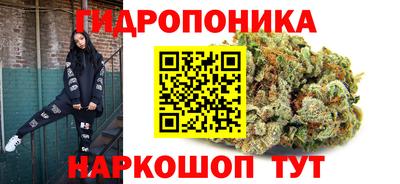 прущие крисы Пугачёв