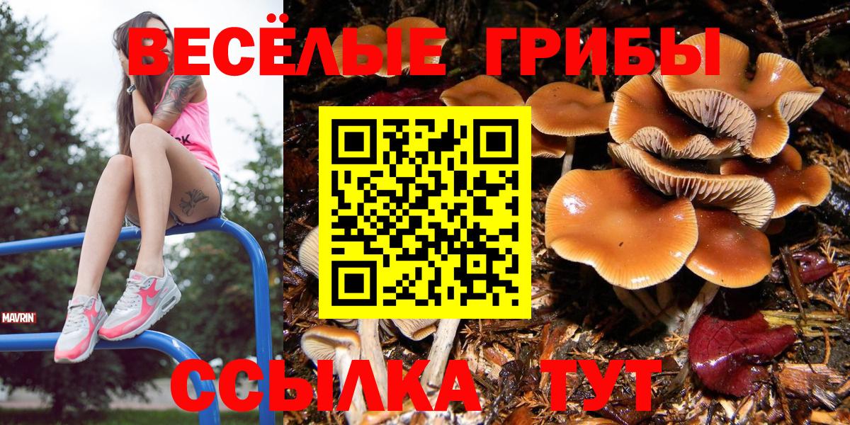 Псилоцибиновые грибы MAGIC MUSHROOMS Ростов-на-Дону