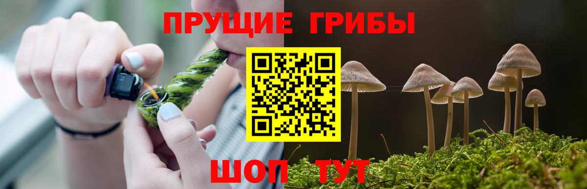 Ростов-на-Дону  где продают наркотики  Вход с VPN  Галлюциногенные грибы Magic Shrooms  Галлюциногенные грибы прущие грибы 